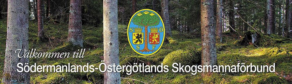 Sörmlands-Östergötlands Skogsmannaförbund